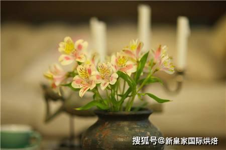 你知道什么是花艺吗？花艺科普6686体育下载(图3)