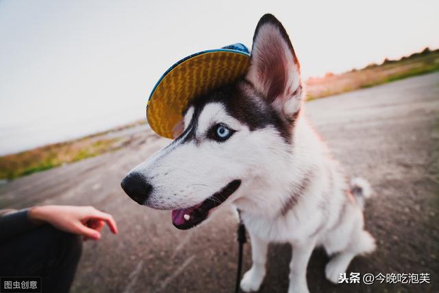 56671a7f59724fc49cb8df41b5f41706.jpeg