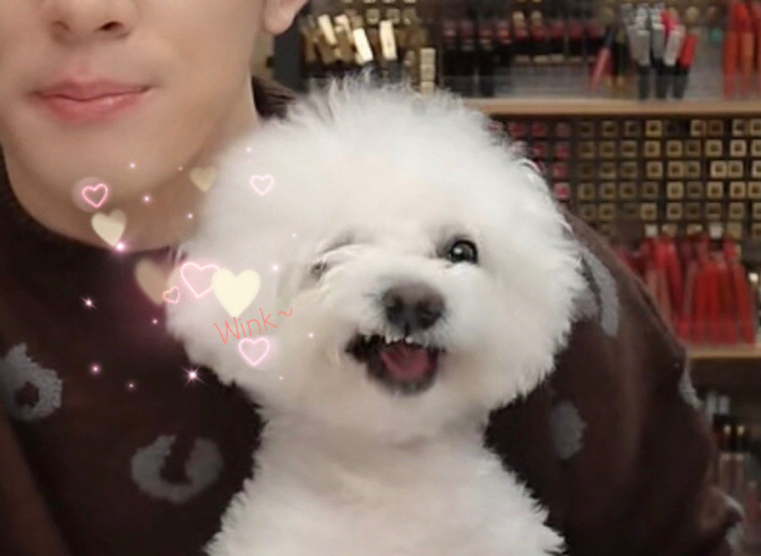 5b9920c000d94df6943d2b6274a16d91.png