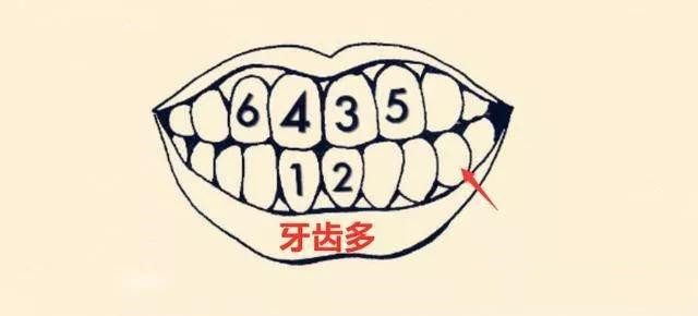 686858297b5244f89c1bfbb076172ad4.jpeg