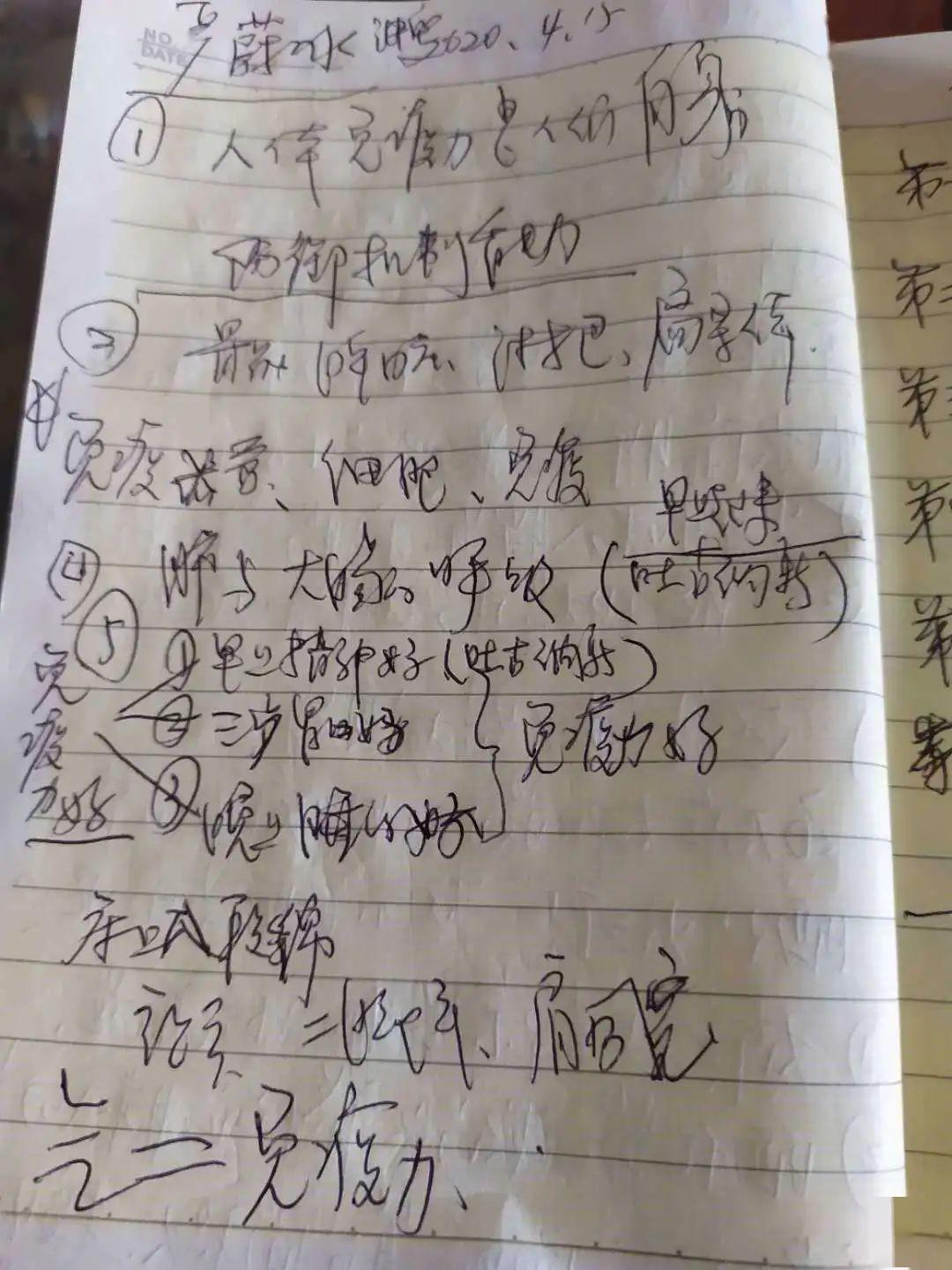 春锁庭院简谱_别墅庭院(3)