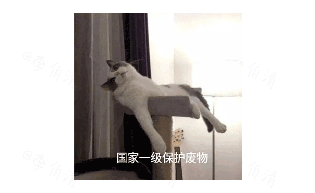 9054902c5bdf41d2a7679f1c6976594b.png