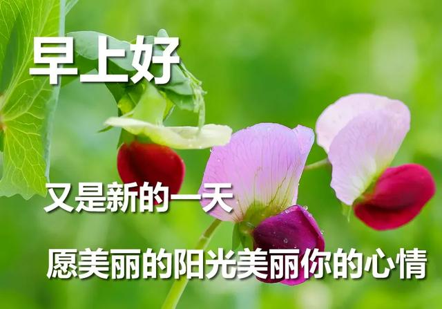 4月16日周四清晨早上好问候祝福动态表情图片