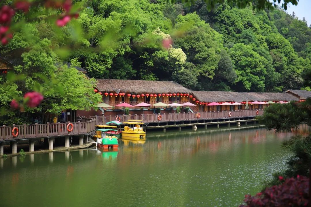 这个"中国最美乡村旅游目的地,去过的人都沦陷了 杭州周边游