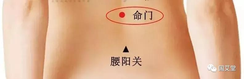命门  