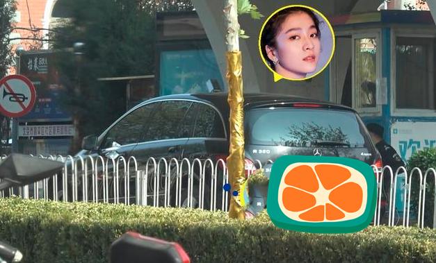 又有明星被曝不测体温直接进小区，网友质疑她