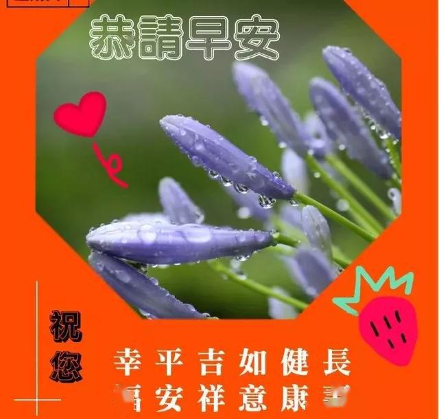 微信群发早上好图片带字2020祝福语,漂亮很火早安图片