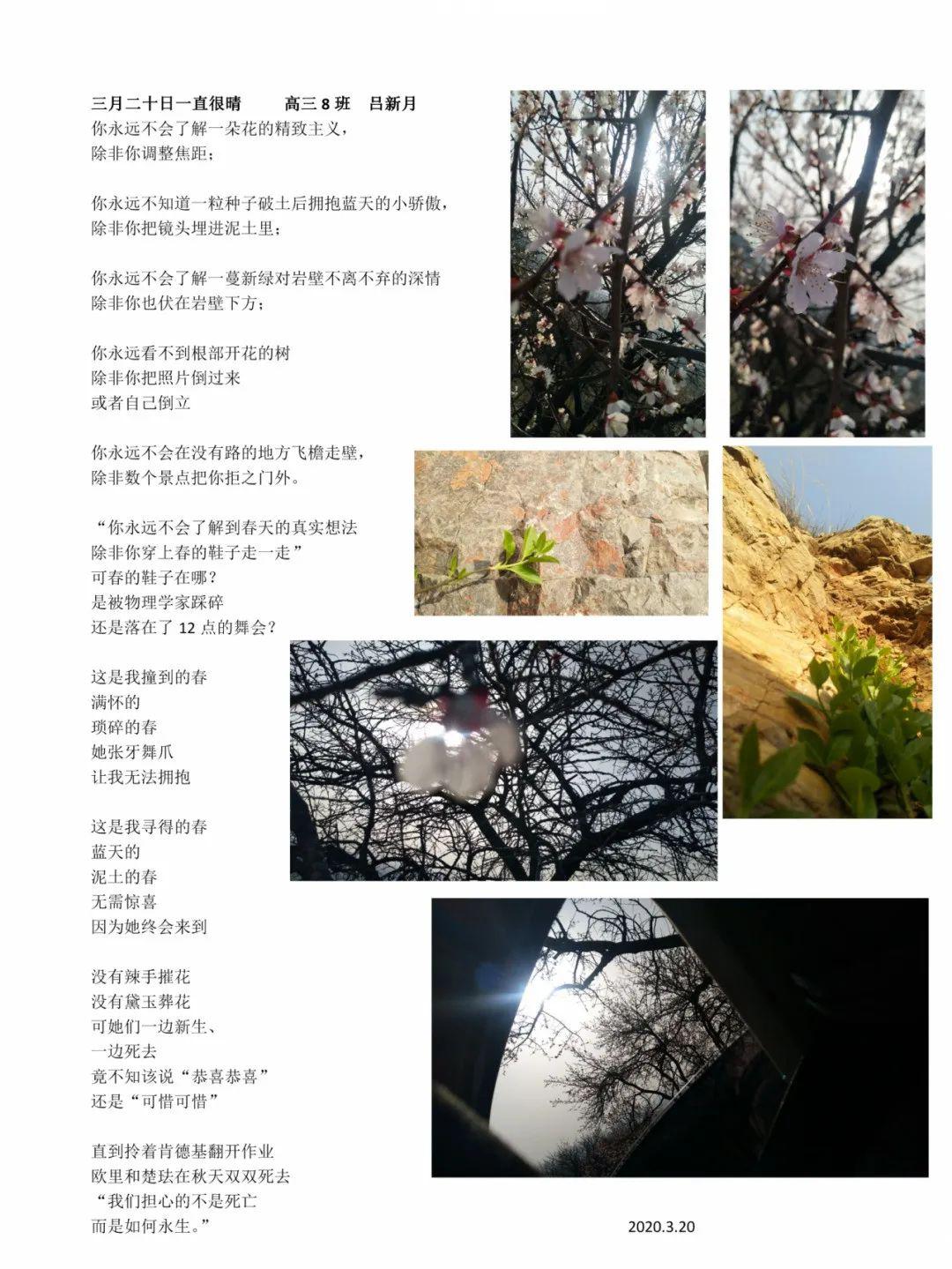 b253f637966746d79c31937f8b8335d4.jpeg