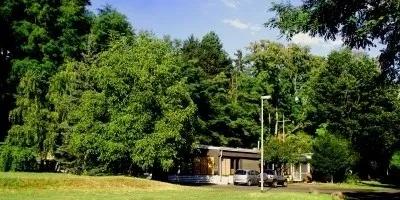 #咨询会#北京林业大学2020年招生宣讲咨询会答《零点高三》粉丝问