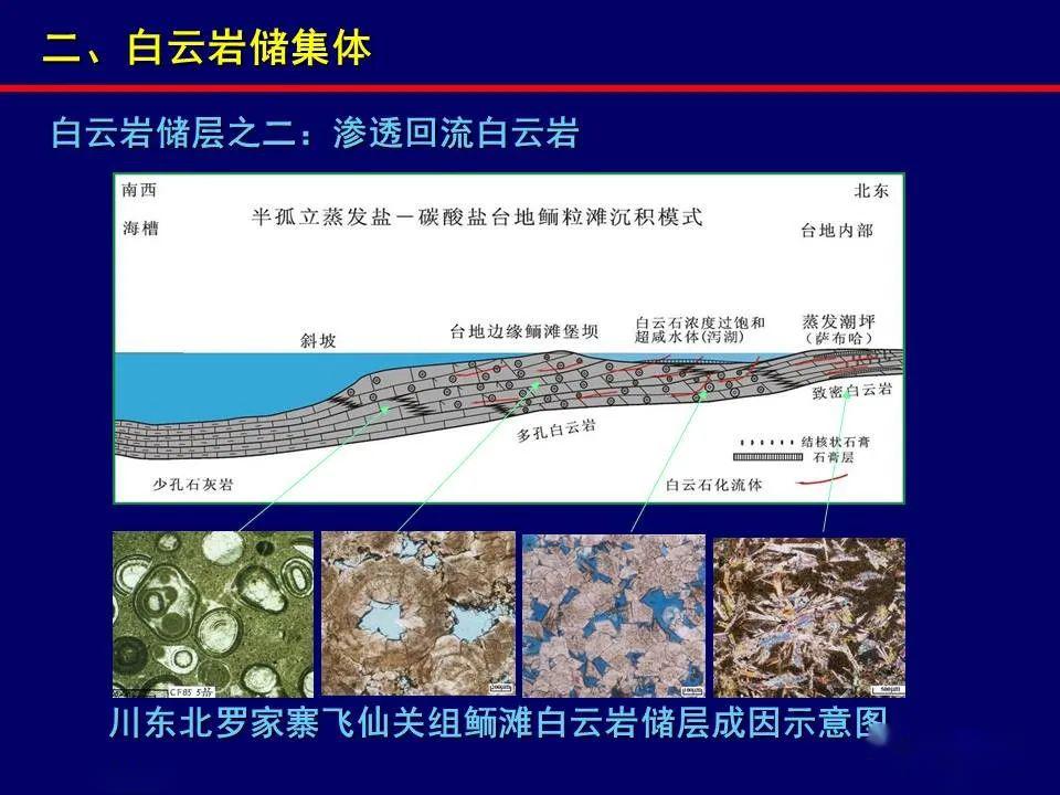 二,白云岩储集体 白云岩储层:四种基本类型 蒸发潮坪白云岩,回流渗透