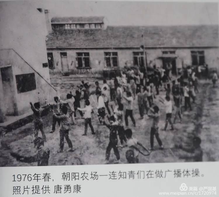 1968年总人口_2021年日历图片(2)