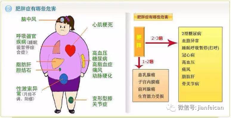 肥胖者体内脂肪增加,血液中脂肪也会相应增加.