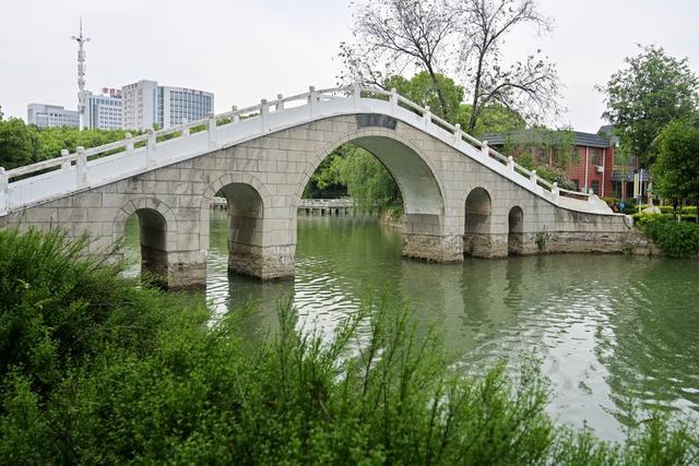 疫情过后的孝感城市公园姹紫嫣红春色满园