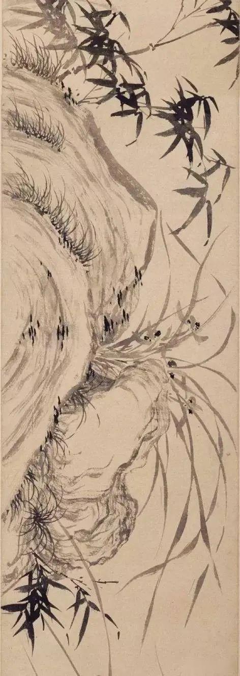 兰花之美,只有中国人最懂!_徐渭