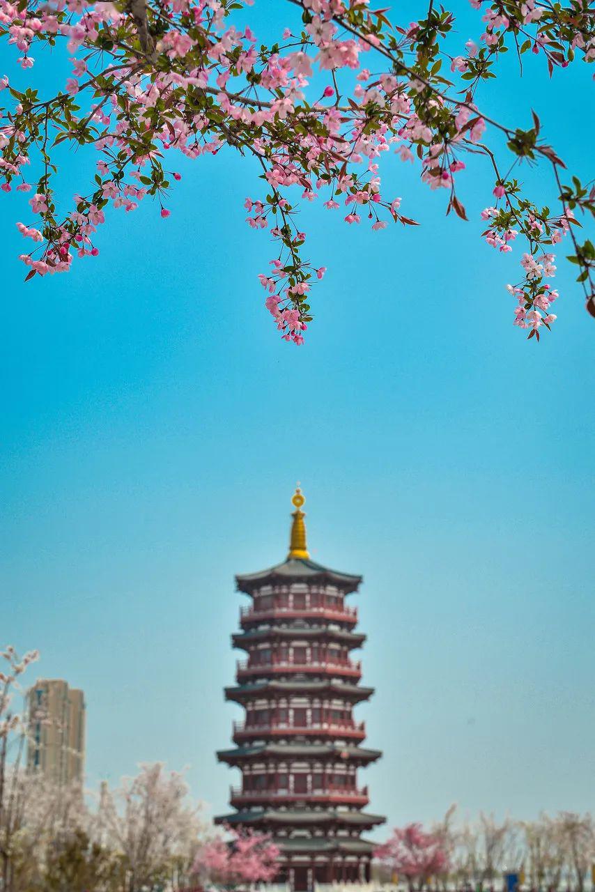 就近旅游的地方 eca9d90d483a46fd9c459e0936aced70.jpeg