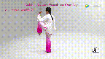 32式太极拳动图全解,新鲜出炉!_弓步