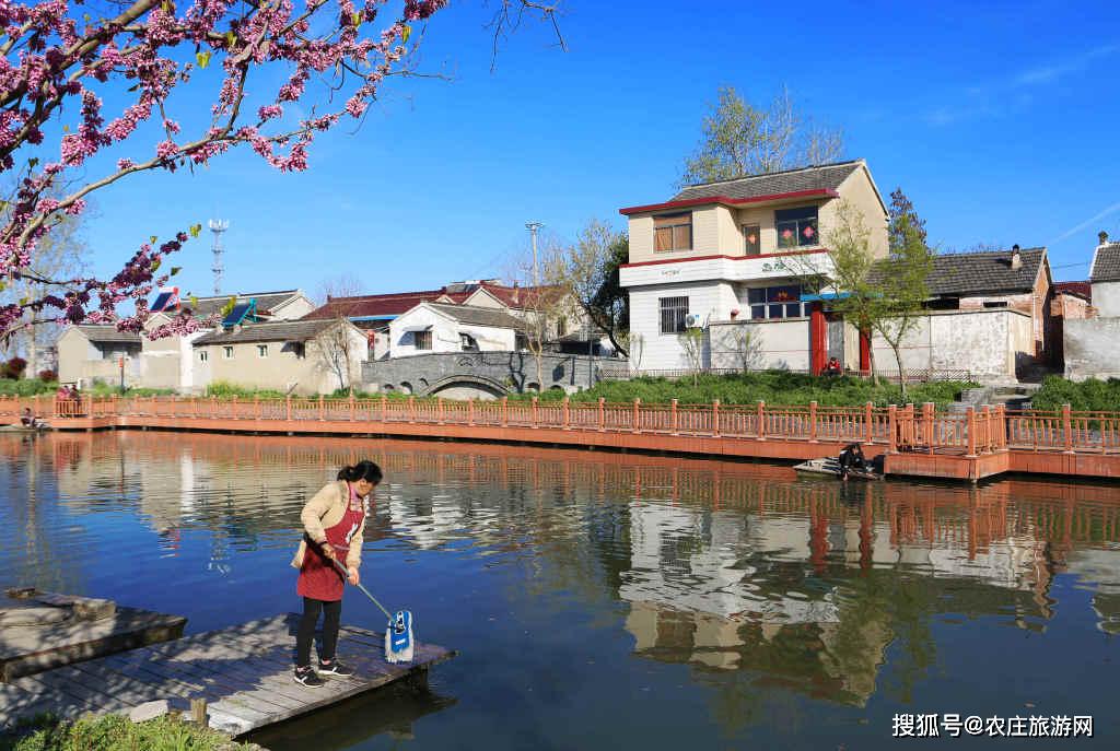 江苏省兴化市徐圩村风景种在湿地里