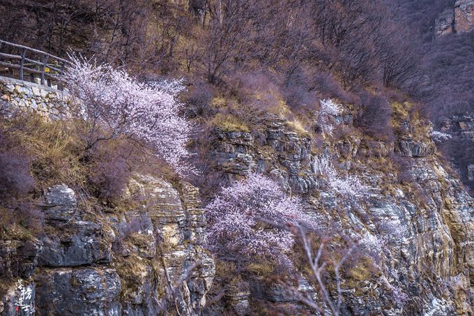 京西踏春好去处，这里有河北最美的山色，被誉为北方的“小黄山”