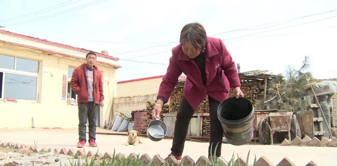 村里那些人和事儿全集 137946cc1dd7403bb01dc41b558719e8.jpeg