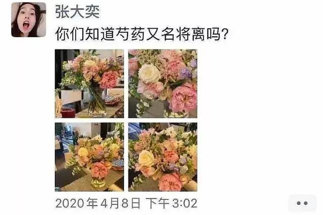 張大奕逼宮路被扒：一年多前還說沒男友，3月就要在原配身邊安家 娛樂 第17張