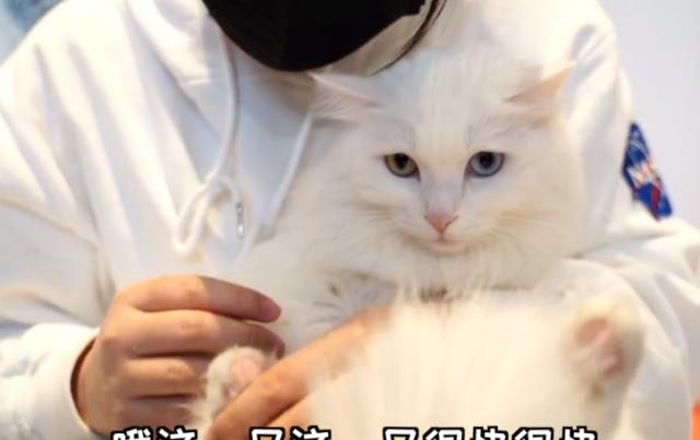 295a87617ffc4afbb7acf3ab0401ceaa.jpeg