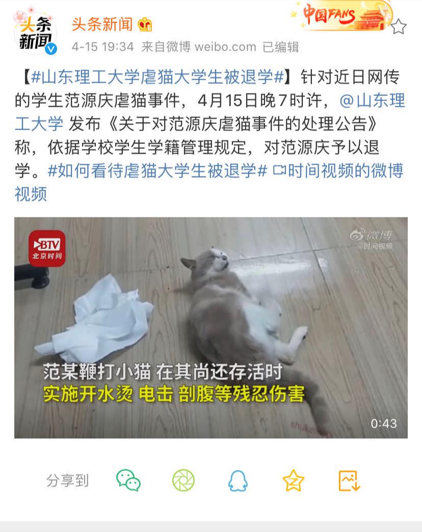 天天吐槽山东理工大学虐猫大学生被退学