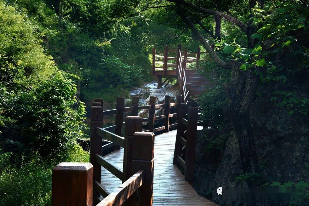 临沂无极鬼谷旅游区 鲜花采摘一日游