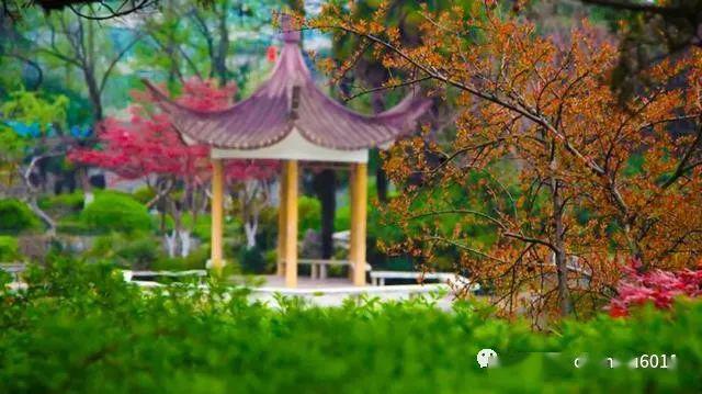 [英才]中国科学技术大学：科技英才的摇篮 所有专业须选考物理