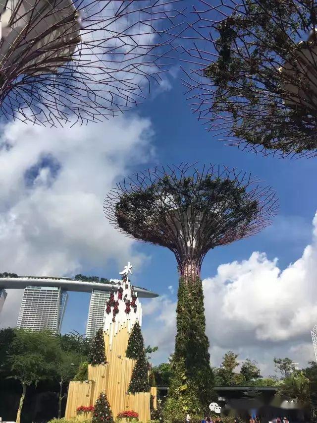 新加坡滨海湾花园 Garden By The Bay_云雾