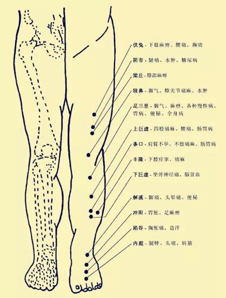 艾生活非常完整的人体穴位图与功效果断收藏