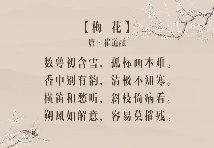书画鉴赏大师黎展华" 画梅浅说 ",收藏级梅花作品即将亮相