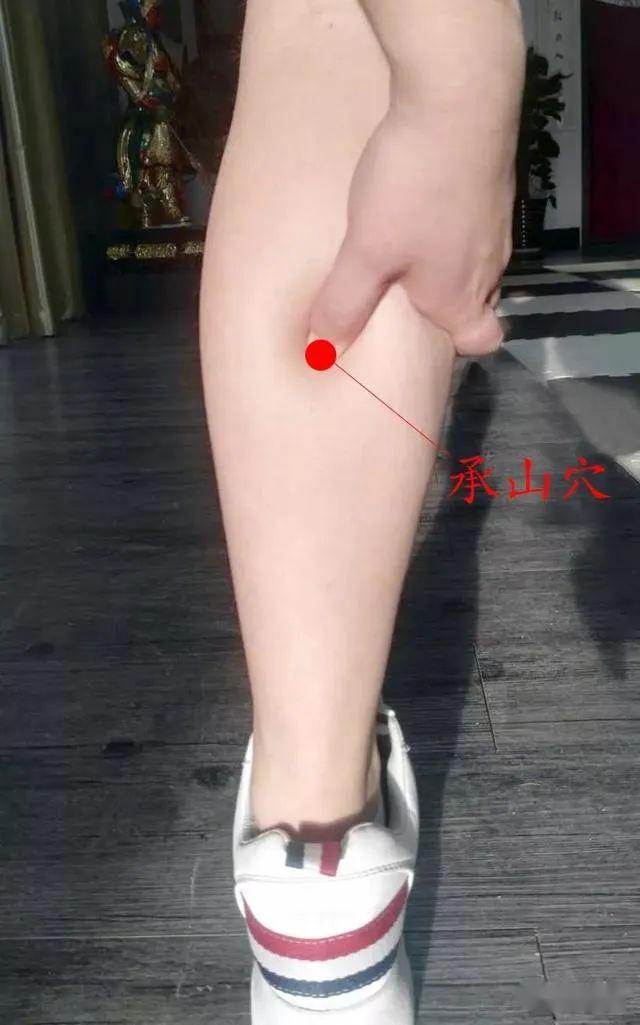 更重要的是 ,拍打小腿内侧不仅可保护好人体的"