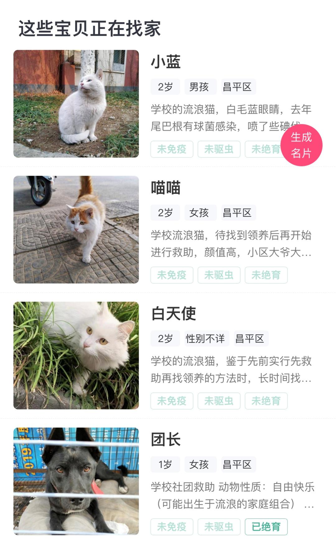 北大的猫太有爱了！我后悔当初选清华了…