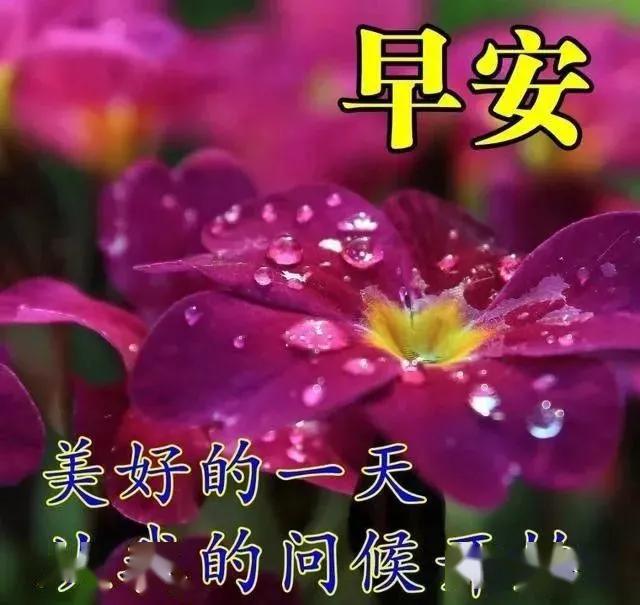 怎么让自己内心更丰盈 56628f4903d04a46a8e71a0d00bc1bc6.jpeg