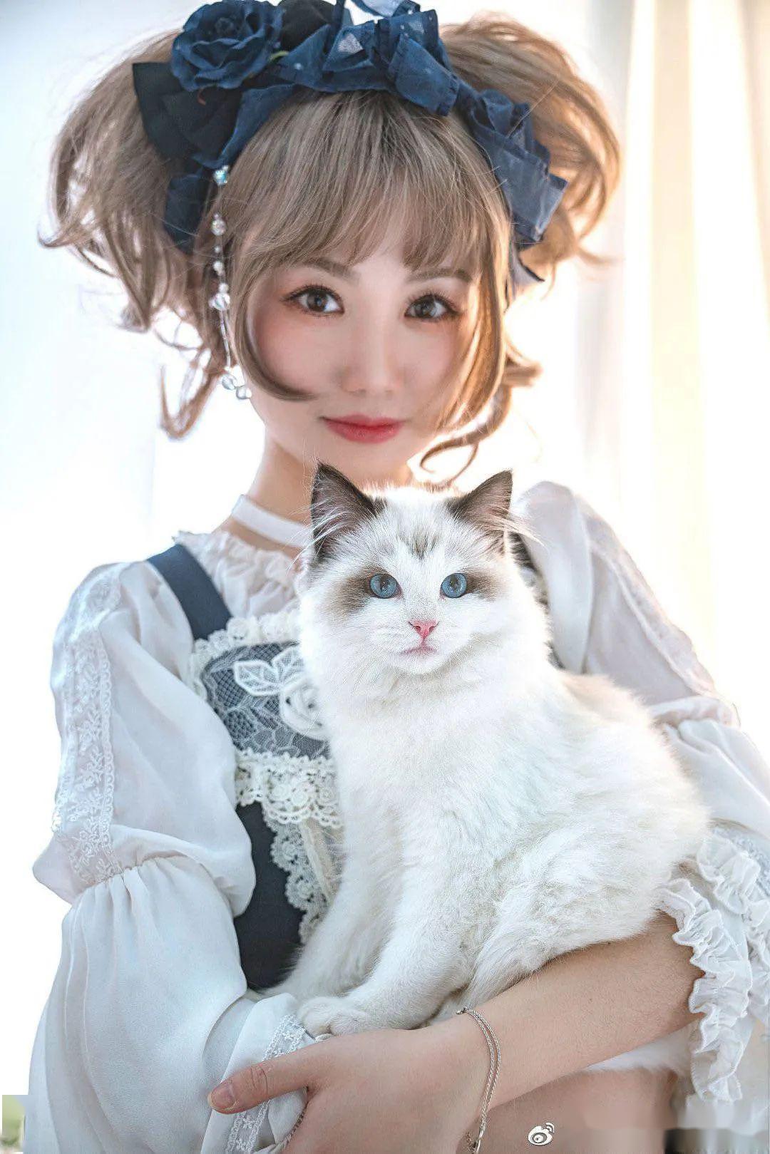 许多少女都纷纷晒出了自己的主子~有猫有狗甚至猫狗双全未免也太让人