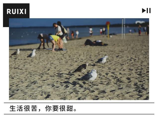 哪有什么光鲜人生,都是在苦苦支撑