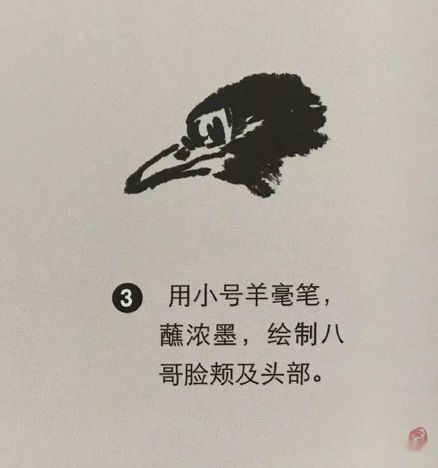 国画八哥的画法,一学就会