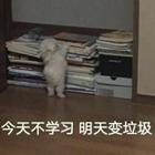复习@【高三家长&学生】复课第二天就直面线下一模?! (内含抱佛脚建议)