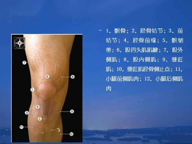 针刀治疗慢性膝关节炎详解1f关节骨性关节炎的诊断依据:一,膝关节