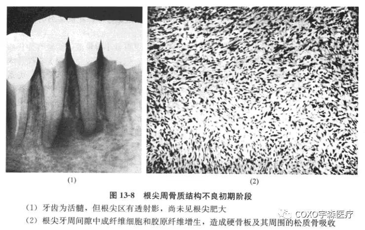 普吉岛旅拍干货来袭!get变身海边耀眼的小仙女