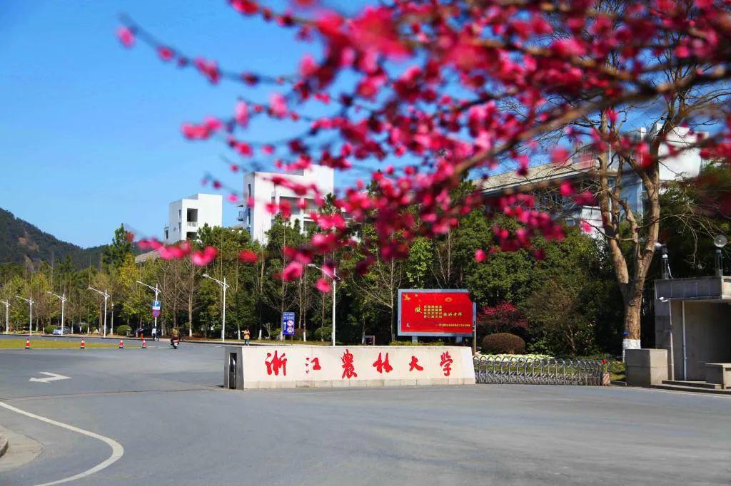 【专业】专业帮之城市管理专业｜哪些高校开设？录取分和位次要多少能报考？速戳！