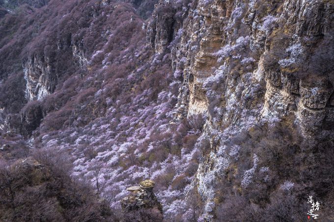 京西踏春好去处，这里有河北最美的山色，被誉为北方的“小黄山”