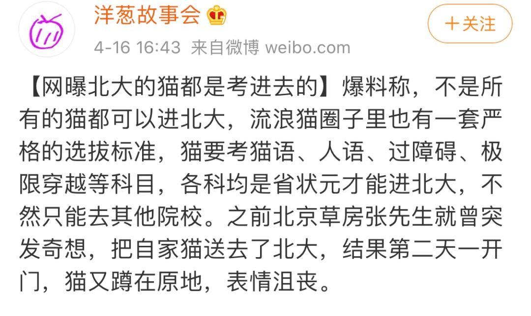 北大的猫太有爱了！我后悔当初选清华了…