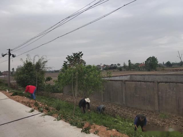 澧县大堰垱gdp_澧县大堰垱镇学习传达县委经济工作会议精神(2)