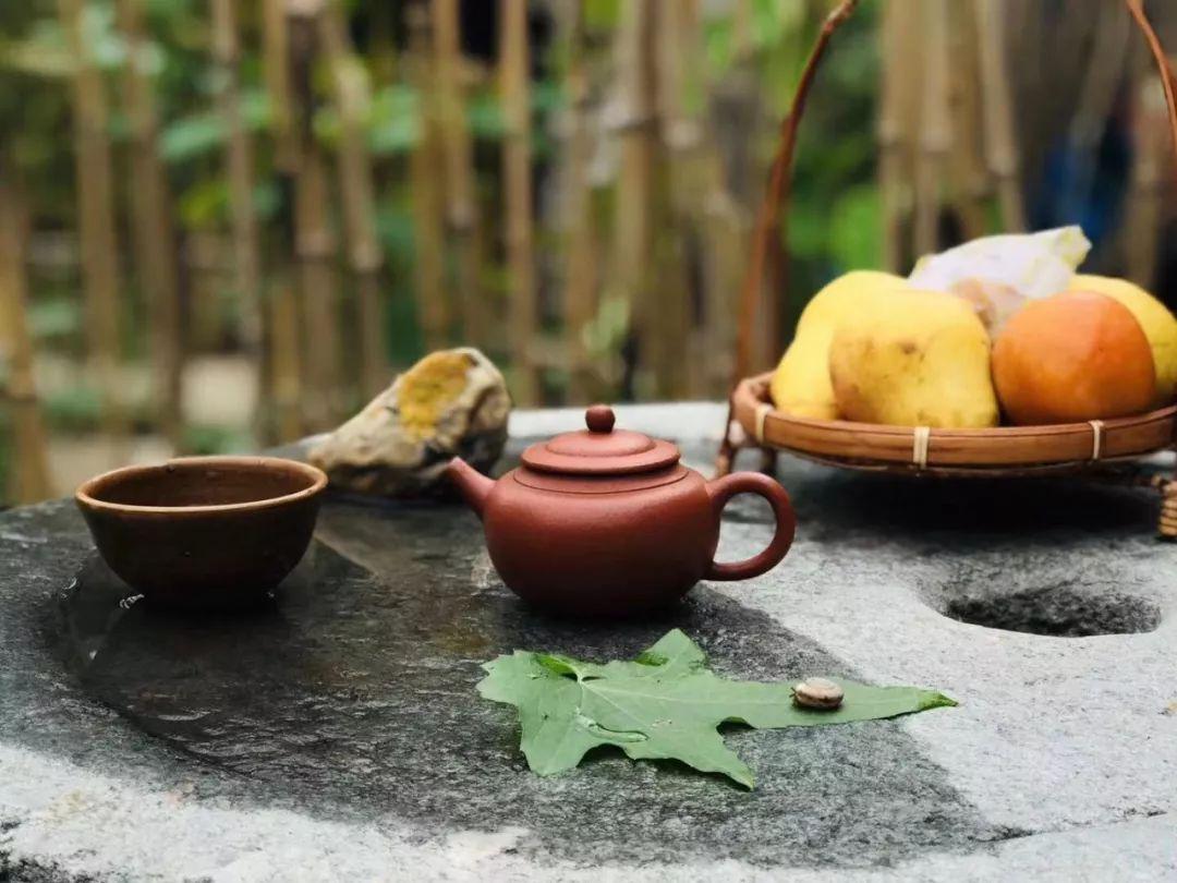 躲进小院,喝茶赏蒲,休闲养性