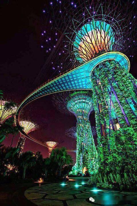 新加坡滨海湾花园 Garden By The Bay_云雾