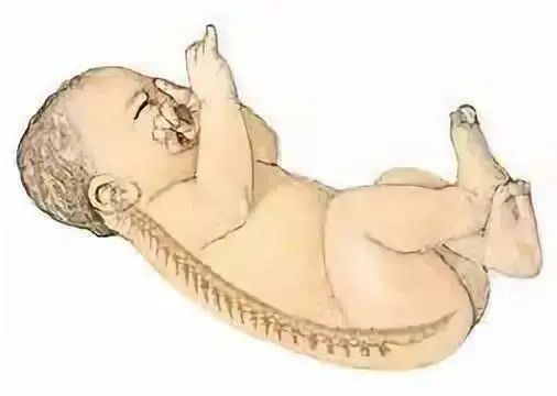 【宝宝】宝宝枕头到底多大可以用？90%爸妈都用错了！