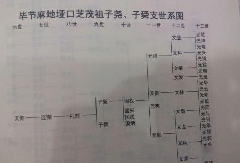 贵州毕节赵氏简介来源家训图腾
