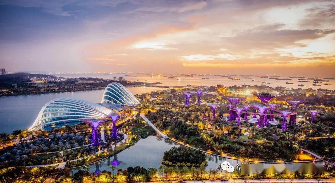 新加坡滨海湾花园 Garden By The Bay_云雾