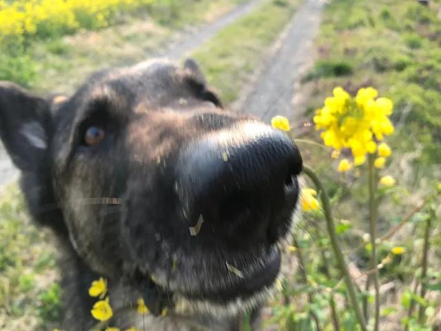 c07575b56ca44ce682a2fccfc43987df.jpeg